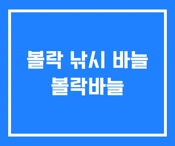 볼락 낚시 바늘 볼락바늘