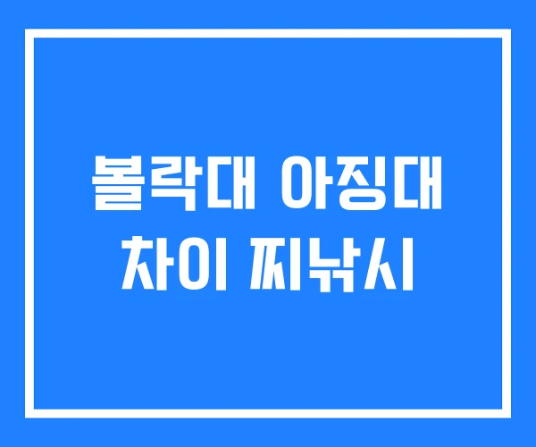 볼락대 아징대 차이 찌낚시 볼락대 아징대 차이 찌낚시