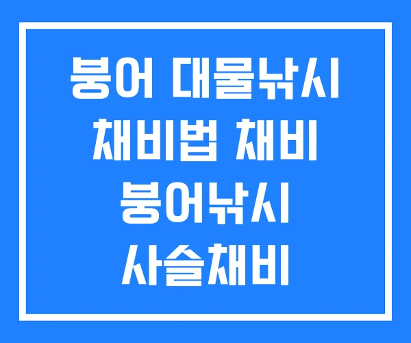 붕어 대물낚시 채비법 채비 붕어낚시 사슬채비