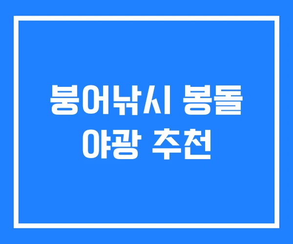붕어낚시 봉돌 야광 추천 붕어낚시 봉돌 야광 추천