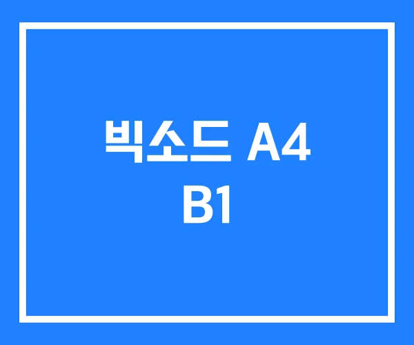 빅소드 A4 B1