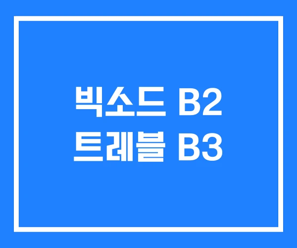 빅소드 B2 트레블 B3
