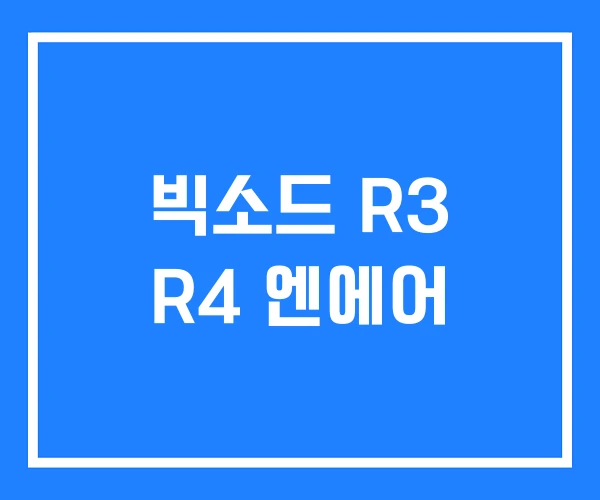 빅소드 R3 R4 엔에어 빅소드 R3 R4 엔에어