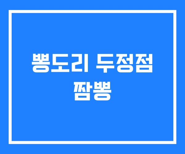 뽕도리 두정점 짬뽕