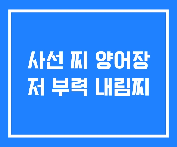 사선 찌 양어장 저 부력 내림찌 사선 찌 양어장 저 부력 내림찌