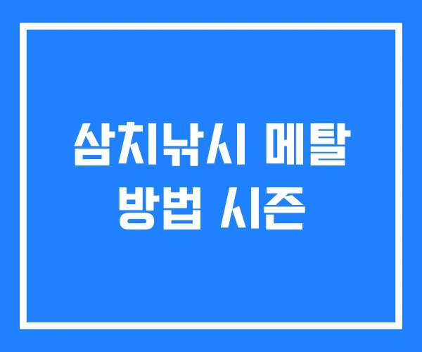 삼치낚시 메탈 방법 시즌 삼치낚시 메탈 방법 시즌
