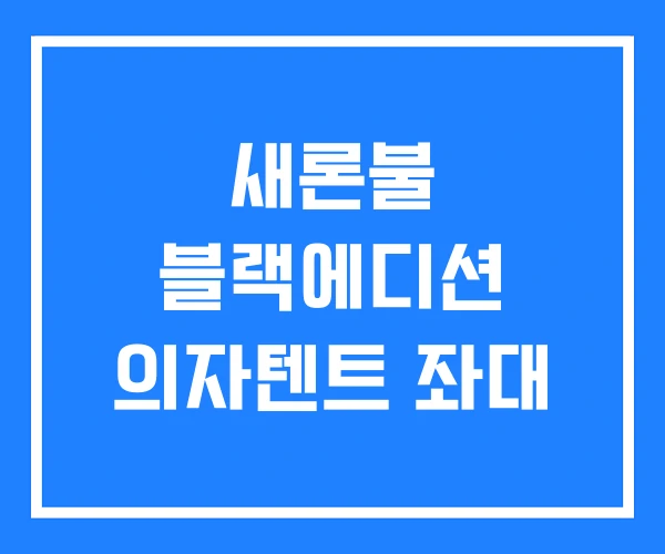 새론불 블랙에디션 의자텐트 좌대