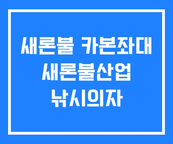 새론불 카본좌대 새론불산업 낚시의자