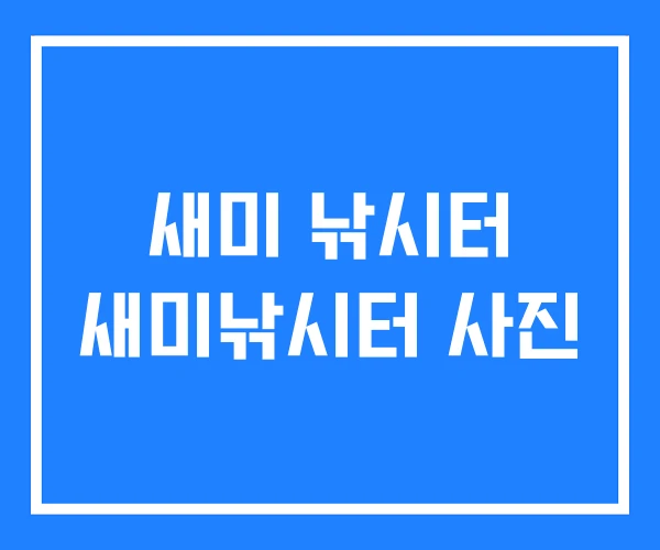 새미 낚시터 새미낚시터 사진 새미 낚시터 새미낚시터 사진