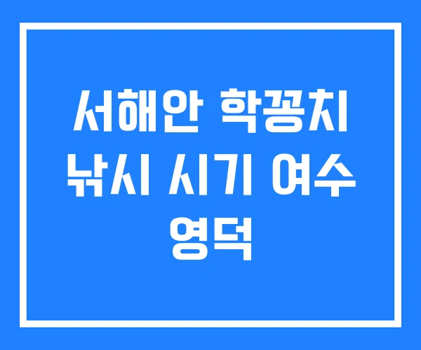 서해안 학꽁치 낚시 시기 여수 영덕 서해안 학꽁치 낚시 시기 여수 영덕