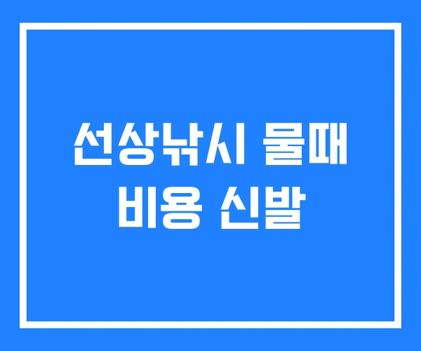 선상낚시 물때 비용 신발