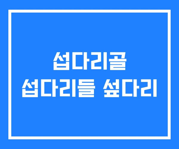 섭다리골 섭다리들 섶다리