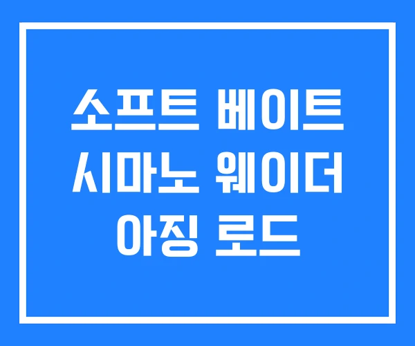 소프트 베이트 시마노 웨이더 아징 로드