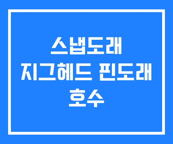 스냅도래 지그헤드 핀도래 호수