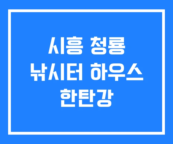 시흥 청룡 낚시터 하우스 한탄강 시흥 청룡 낚시터 하우스 한탄강