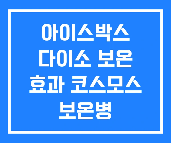 아이스박스 다이소 보온 효과 코스모스 보온병