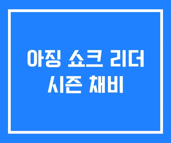 아징 쇼크 리더 시즌 채비