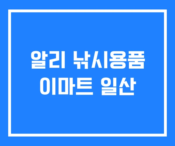 알리 낚시용품 이마트 일산