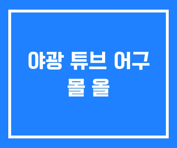 야광 튜브 어구 몰 올