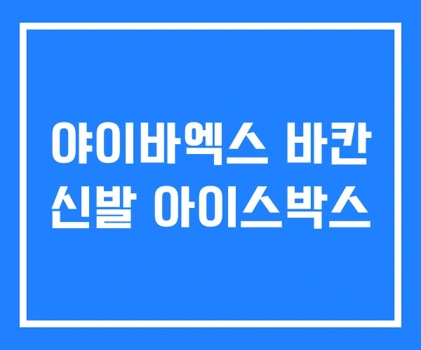 야이바엑스 바칸 신발 아이스박스