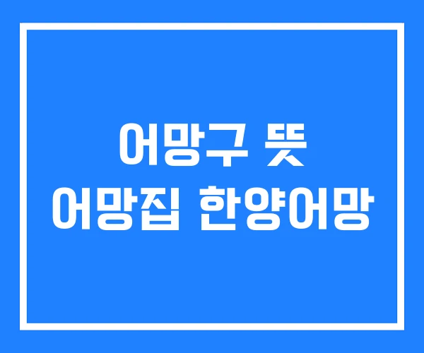 어망구 뜻 어망집 한양어망