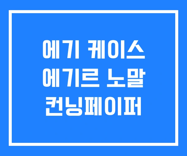 에기 케이스 에기르 노말 컨닝페이퍼