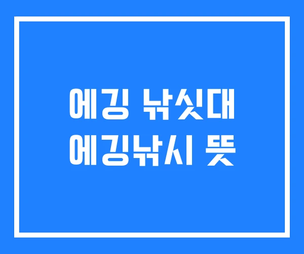 에깅 낚싯대 에깅낚시 뜻