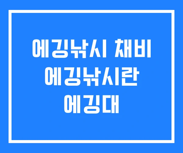 에깅낚시 채비 에깅낚시란 에깅대