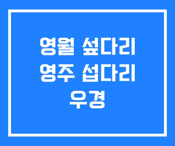 영월 섶다리 영주 섭다리 우경 영월 섶다리 영주 섭다리 우경