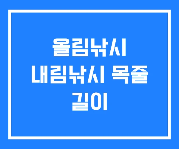 올림낚시 내림낚시 목줄 길이