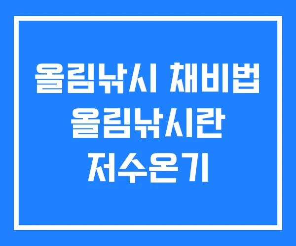 올림낚시 채비법 올림낚시란 저수온기