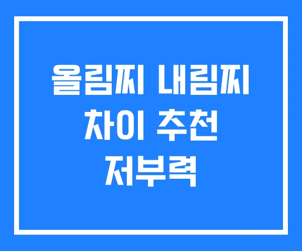 올림찌 내림찌 차이 추천 저부력