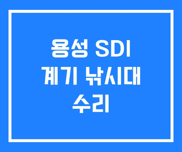 용성 SDI 계기 낚시대 수리 용성 SDI 계기 낚시대 수리