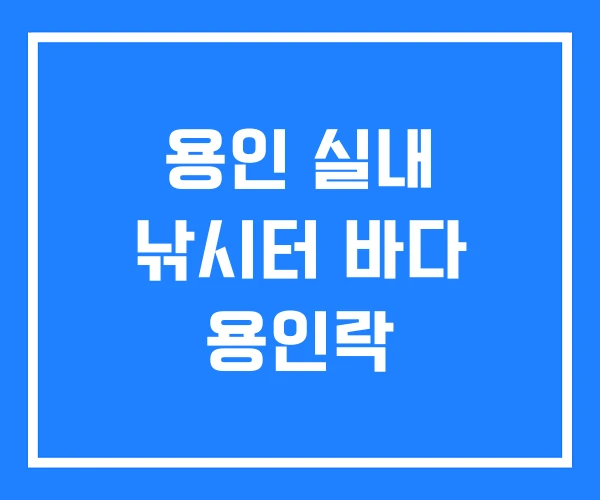 용인 실내 낚시터 바다 용인락 용인 실내 낚시터 바다 용인락