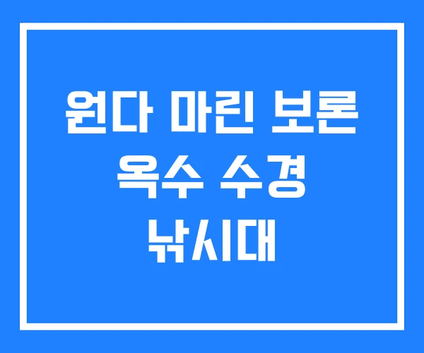 원다 마린 보론 옥수 수경 낚시대