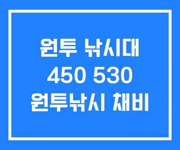 원투 낚시대 450 530 원투낚시 채비