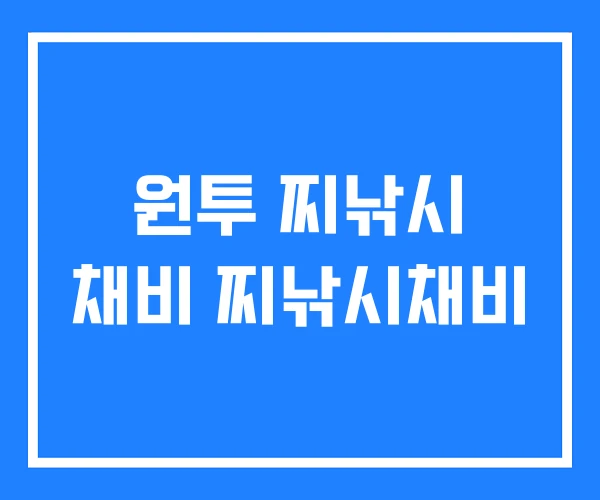 원투 찌낚시 채비 찌낚시채비