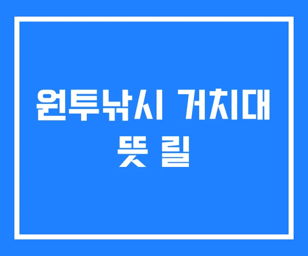 원투낚시 거치대 뜻 릴