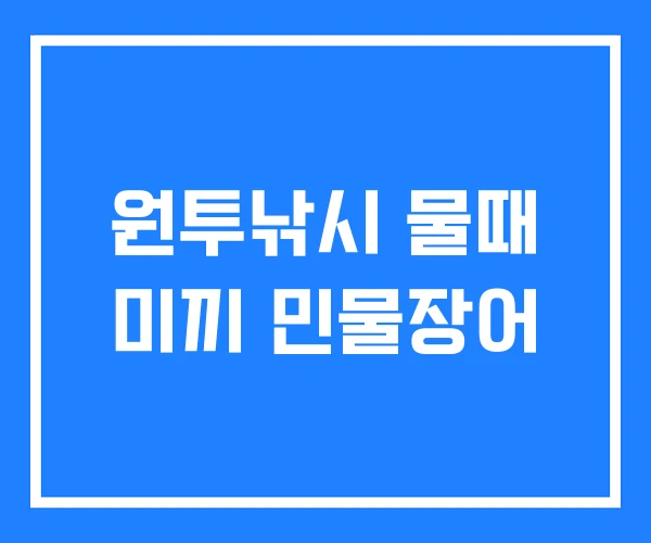 원투낚시 물때 미끼 민물장어 원투낚시 물때 미끼 민물장어