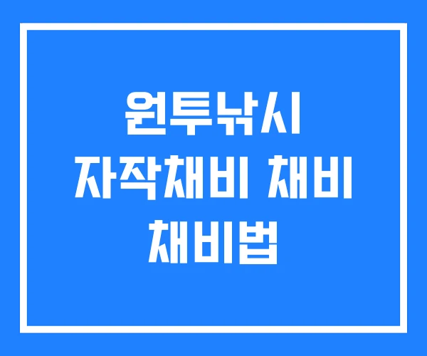 원투낚시 자작채비 채비 채비법 원투낚시 자작채비 채비 채비법