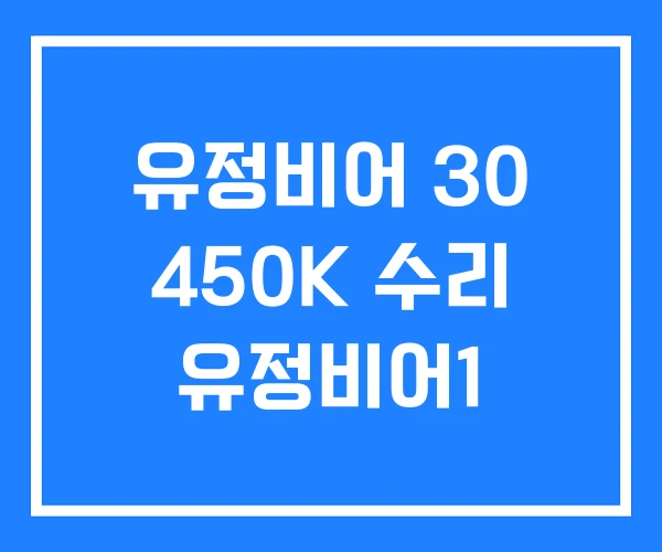 유정비어 30 450K 수리 유정비어1 유정비어 30 450K 수리 유정비어1