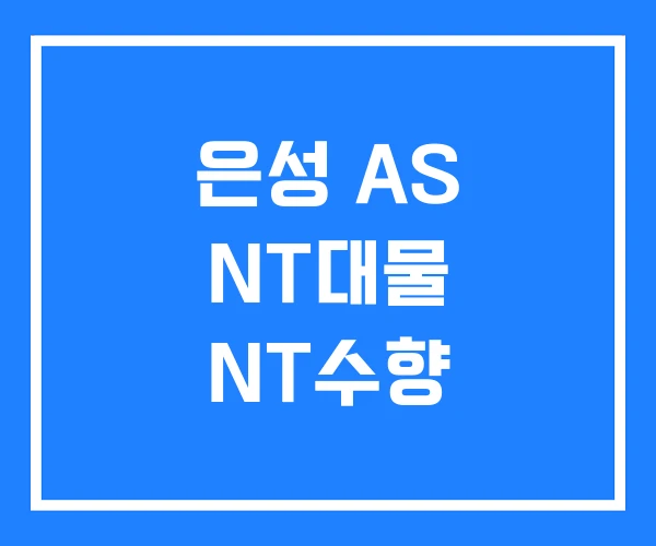 은성 AS NT대물 NT수향 은성 AS NT대물 NT수향