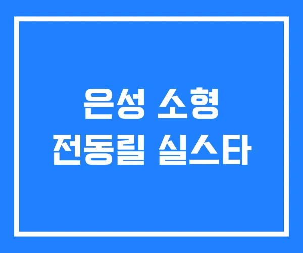 은성 소형 전동릴 실스타