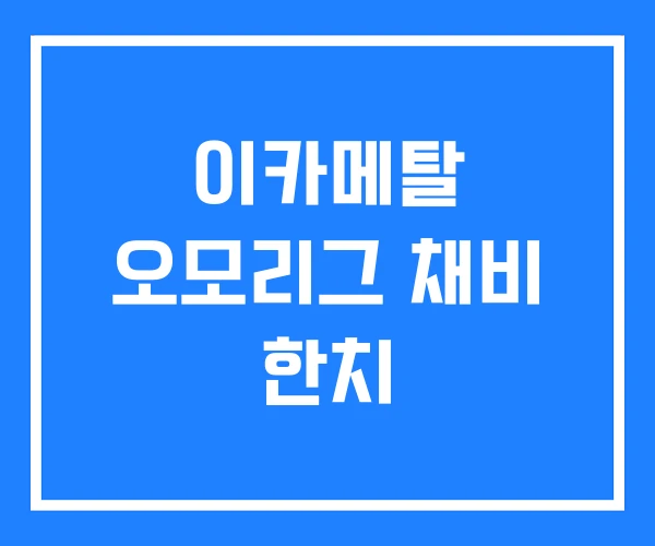 이카메탈 오모리그 채비 한치 이카메탈 오모리그 채비 한치