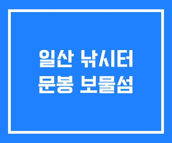 일산 낚시터 문봉 보물섬 일산 낚시터 문봉 보물섬