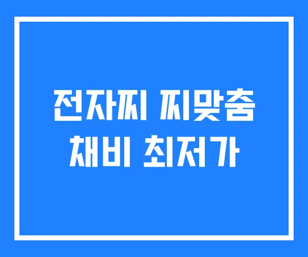 전자찌 찌맞춤 채비 최저가