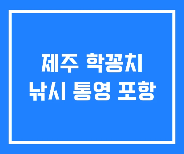 제주 학꽁치 낚시 통영 포항