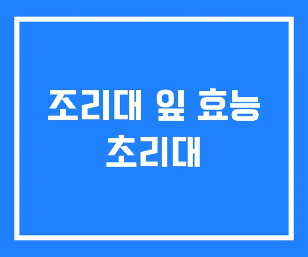 조리대 잎 효능 초리대