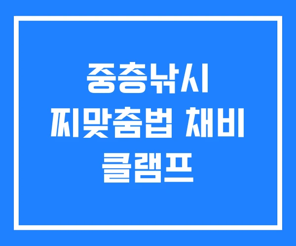 중층낚시 찌맞춤법 채비 클램프
