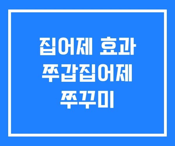 집어제 효과 쭈갑집어제 쭈꾸미